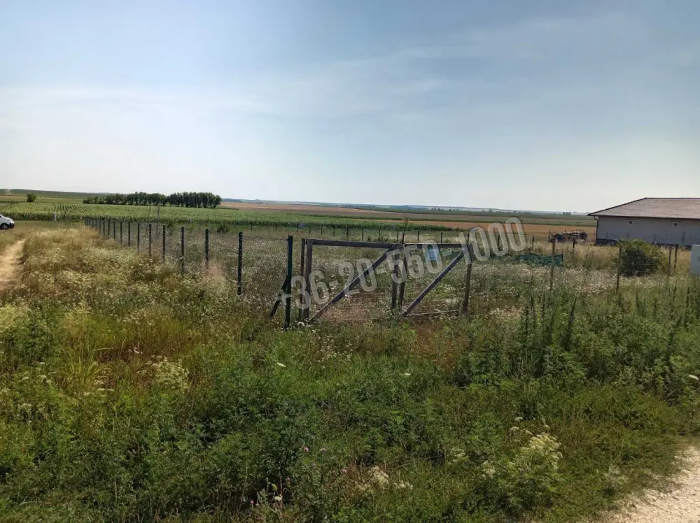 Somogy megye - Balatonszabadi